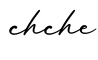 单词chche书写