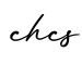 单词chcs书写