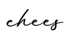 单词chees书写