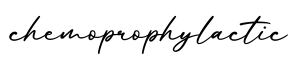 单词chemoprophylactic书写