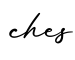 单词ches书写