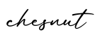 单词chesnut书写