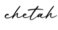 单词chetah书写