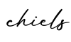 单词chiels书写