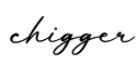 单词chigger书写