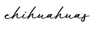 单词chihuahuas书写