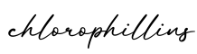 单词chlorophillins书写