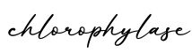 单词chlorophylase书写