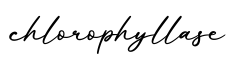 单词chlorophyllase书写