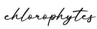 单词chlorophytes书写