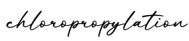 单词chloropropylation书写