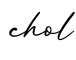 单词chol书写