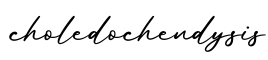 单词choledochendysis书写