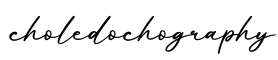 单词choledochography书写