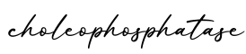 单词choleophosphatase书写