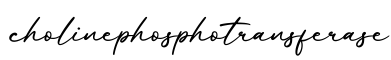 单词cholinephosphotransferase书写
