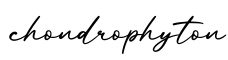 单词chondrophyton书写