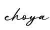 单词choya书写