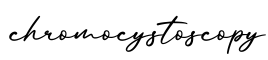 单词chromocystoscopy书写