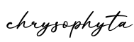 单词chrysophyta书写