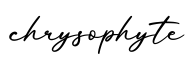 单词chrysophyte书写