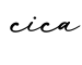 单词cica书写