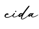 单词cida书写