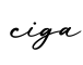 单词ciga书写