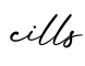 单词cills书写