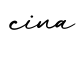 单词cina书写