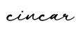 单词cincar书写