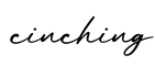 单词cinching书写