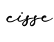 单词cisse书写