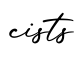 单词cists书写