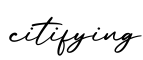 单词citifying书写