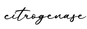 单词citrogenase书写