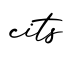 单词cits书写