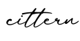 单词cittern书写