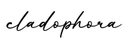 单词cladophora书写