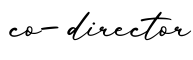 单词co-director书写