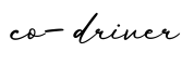 单词co-driver书写