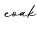 单词coak书写