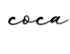 单词coca书写