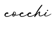 单词cocchi书写