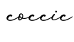 单词coccic书写