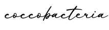 单词coccobacteria书写