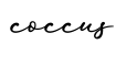 单词coccus书写