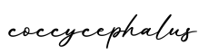 单词coccycephalus书写