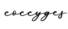 单词coccyges书写