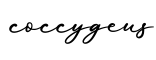 单词coccygeus书写